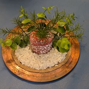 ❄️Succulent Plant Arrangement On Copper Plate